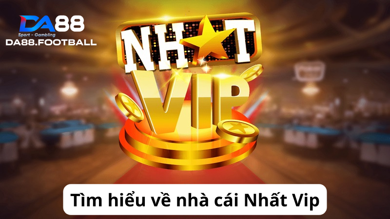 Nhất Vip - Sân chơi cá cược thể thao được đánh giá cao nhất năm 2024 2 Tìm hiểu về nhà cái cá cược Nhất Vip