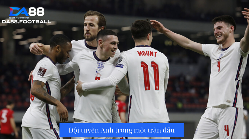 Anh và Bosnia sẽ có lần đầu chạm trán trên cấp độ đội tuyển quốc gia