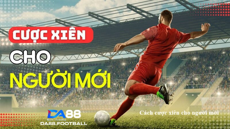 Những Lợi Ích Và Lý Do Tại Sao Nên Chọn Cược Xiên Bóng Đá